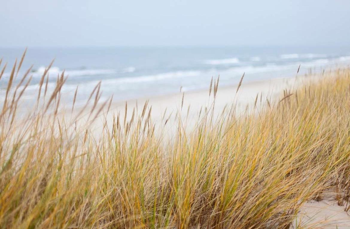 Oase An Der Ostsee Mit 2 Schlafzimmern Heiligenhafen Esterno foto